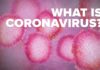 what is coronavirus scaled