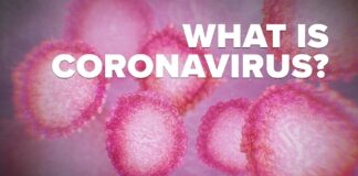 what is coronavirus scaled