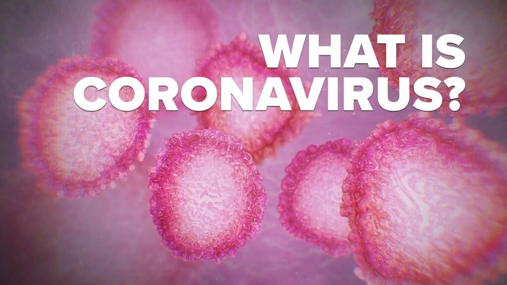 what is a coronavirus