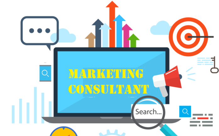5e7b4a6531c80 Marketing consultant