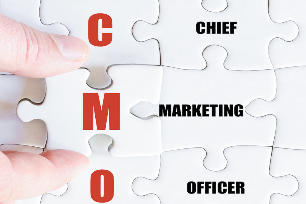 fractional cmo services