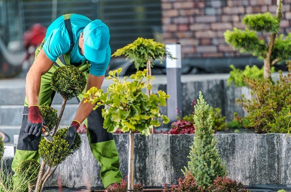 art of commercial landscaping 