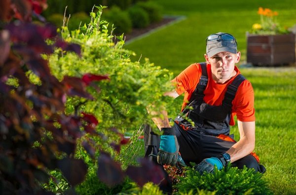 how to find & hire a good residential landscaper