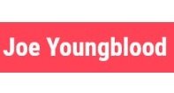 joe youngblood seo digital marketing consulting log 2