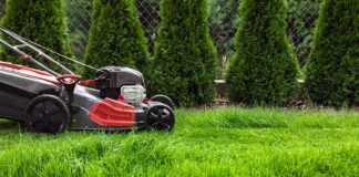 Complete Guide on How to Take Care of Your Lawn for Beginners