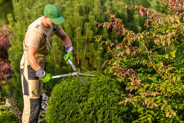 how to find a good commercial landscaping company