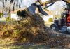 Benefits Of Tree Services