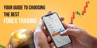 Your Guide to Choosing the Best Forex Trading