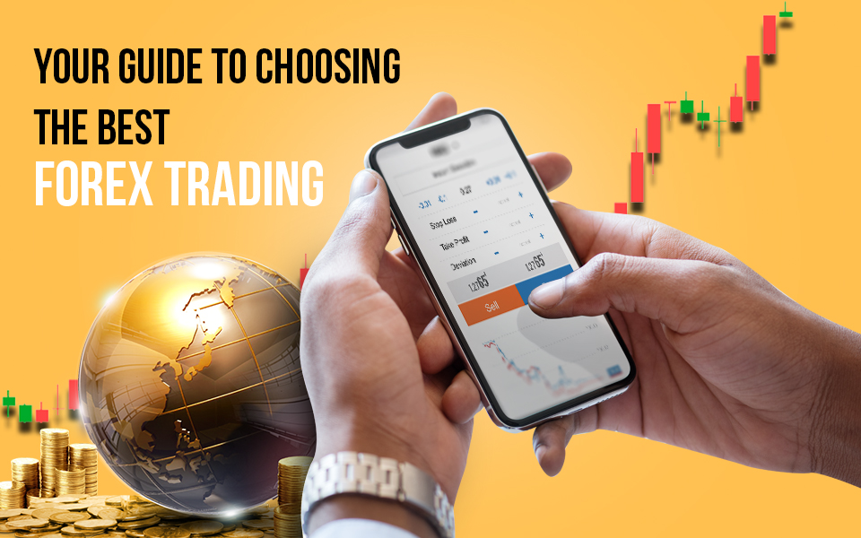 your guide to choosing the best forex trading