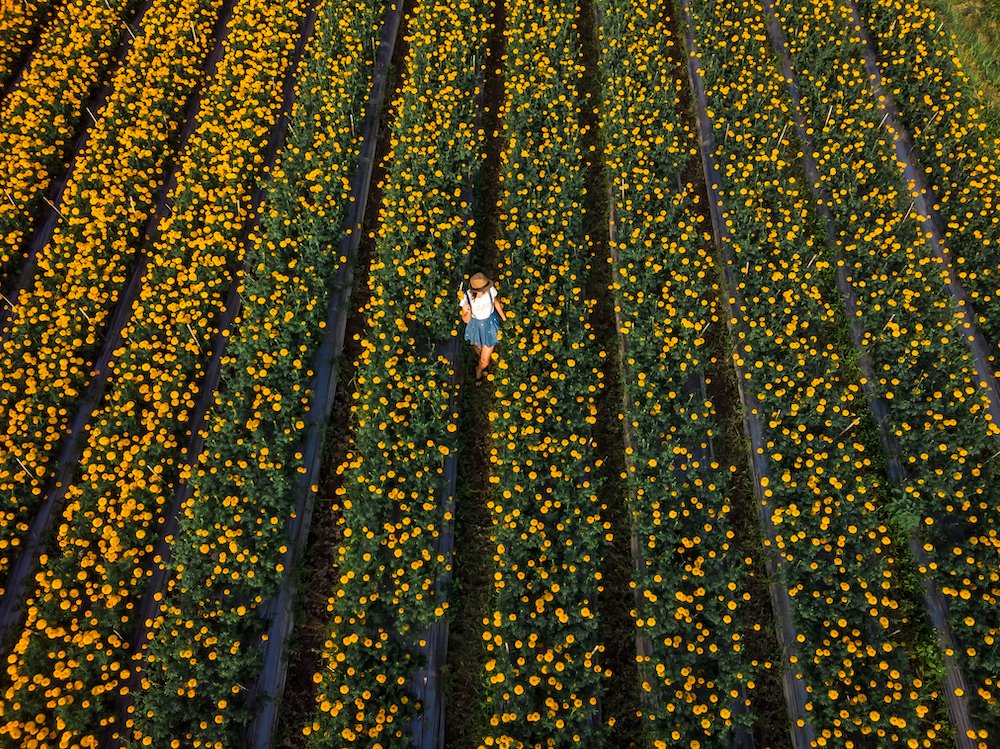 spring lawn care