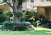 Landscaping Types and Services - From Formal to Xeriscaping