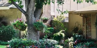 Landscaping Types and Services - From Formal to Xeriscaping
