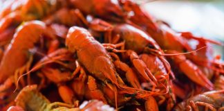 tasty red boiled crayfish close up background 2021 08 26 19 57 16 utc