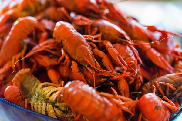 tasty red boiled crayfish close up background 2021 08 26 19 57 16 utc