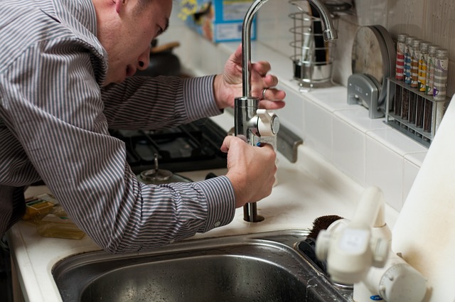 top 5 best plumbers in sonoma county ca