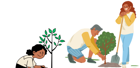 Importance of Commercial Tree Services, The Importance of Professional Commercial Tree Services