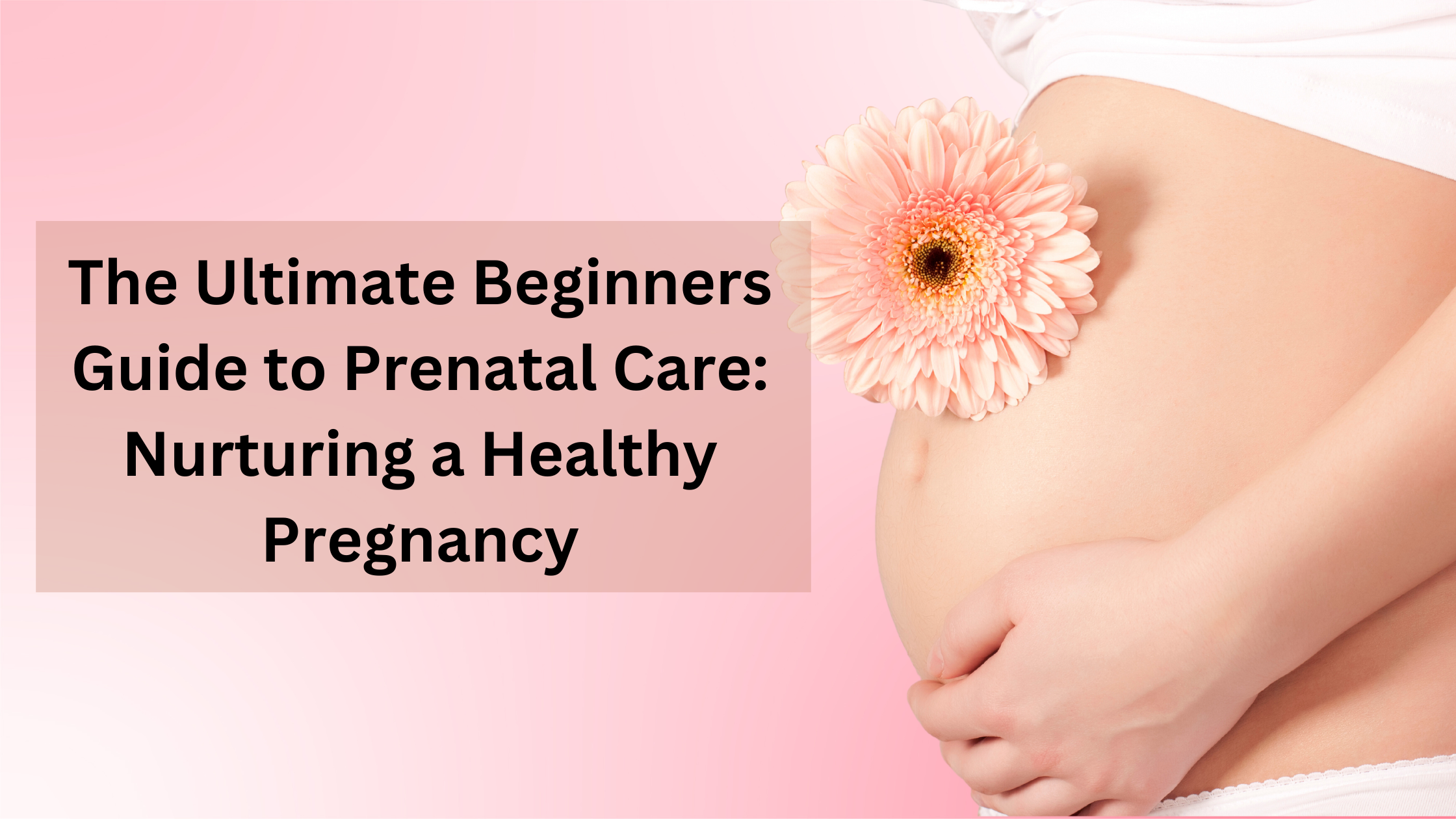 the ultimate beginners guide to prenatal care nurturing a healthy pregnancy
