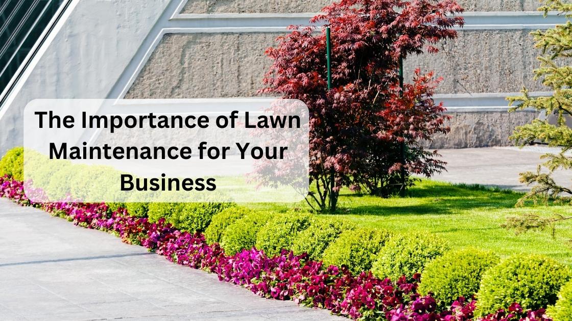 the importance of lawn maintenance for your business (1)