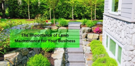 The Importance of Lawn Maintenance for Your Business