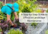 A Step by Step Guide to Effective Landscape Maintenance