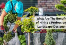 what are the benefits of hiring a professional landscape designer