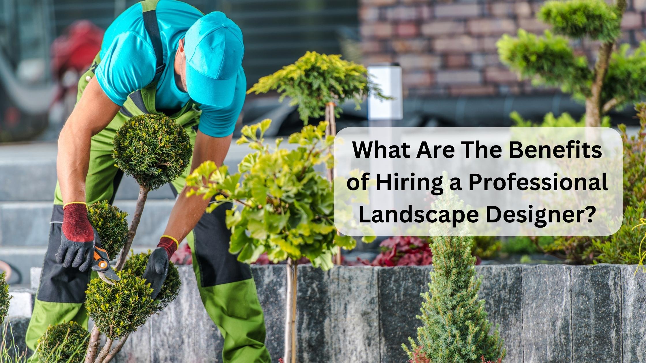what are the benefits of hiring a professional landscape designer