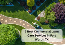 5 best commercial lawn care services in fort worth, tx