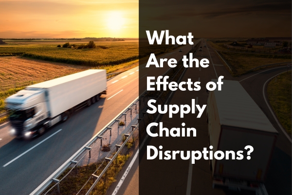 what are the effects of supply chain disruptions