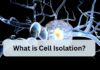 What is Cell ISolation