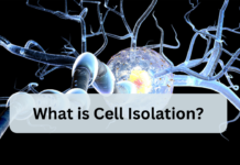 what is cell isolation