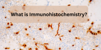 What is Immunohistochemistry