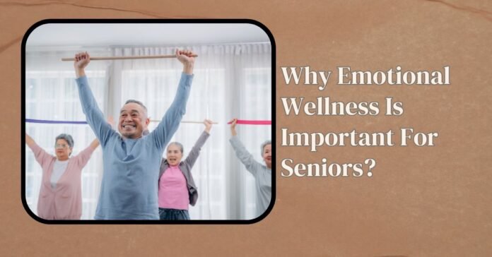 Why Emotional Wellness Is Important For Seniors