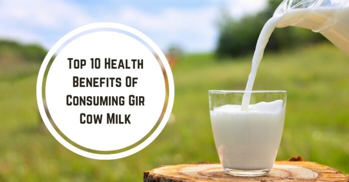 Top 10 Health Benefits Of Consuming Gir Cow Milk